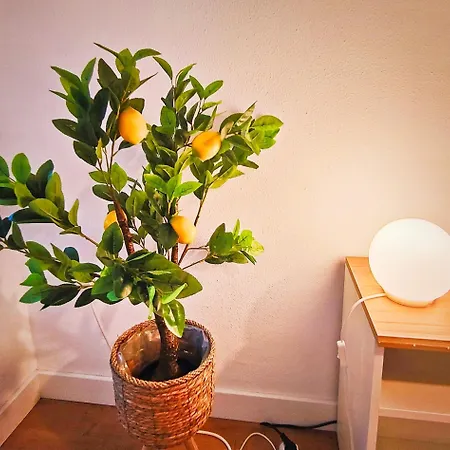 Apartman Con Vistas Al Mar